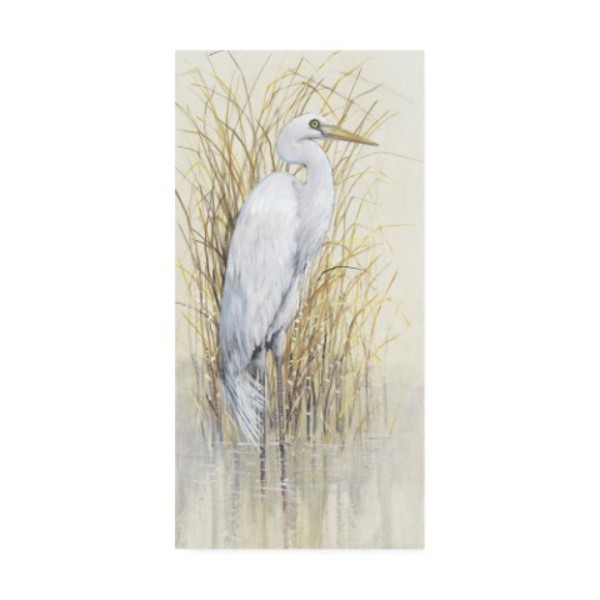 Trademark Fine Art Tim O'Toole 'Wading I' Canvas Art, 24x47 WAG13139-C2447GG